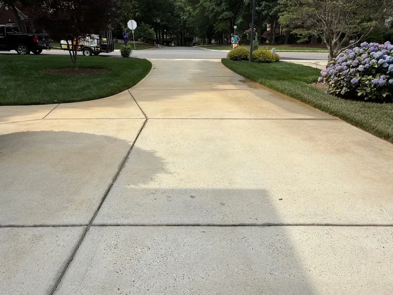 Deck and fence cleaning in Mount Holly area