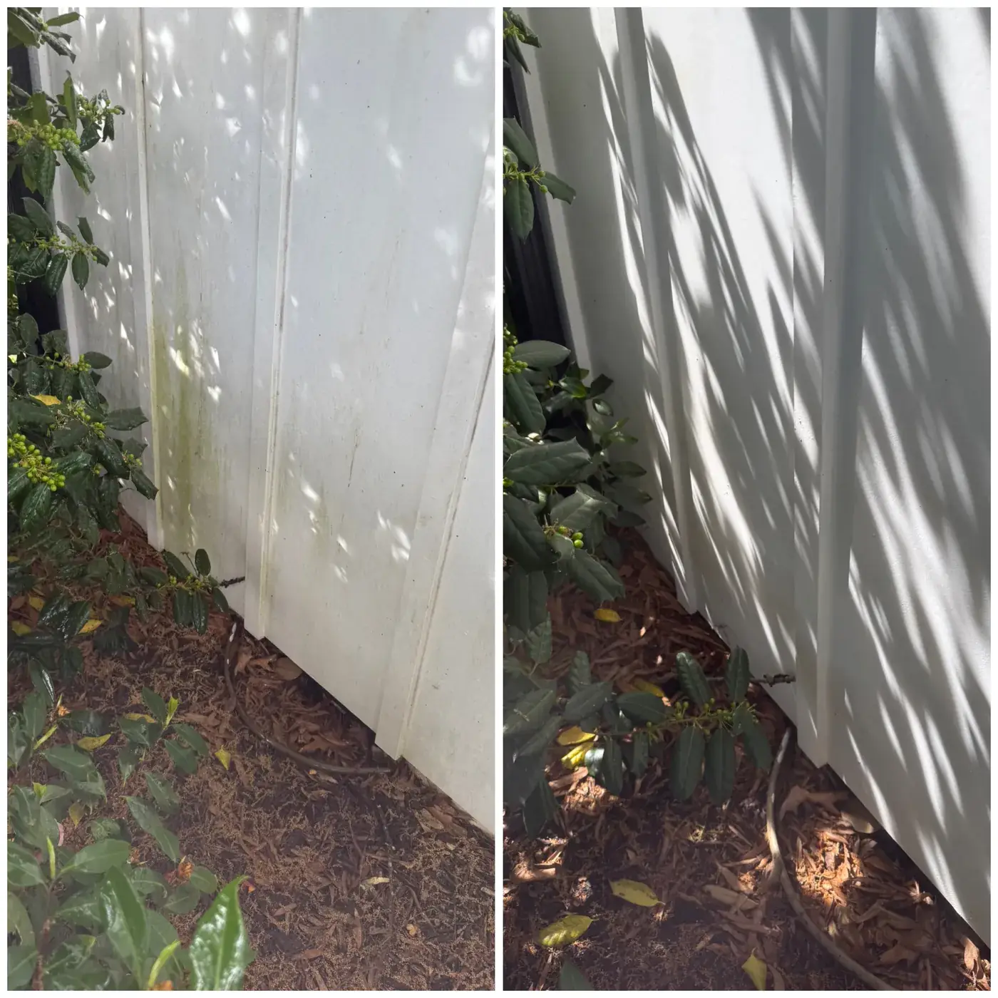 Before and after fence and siding cleaning