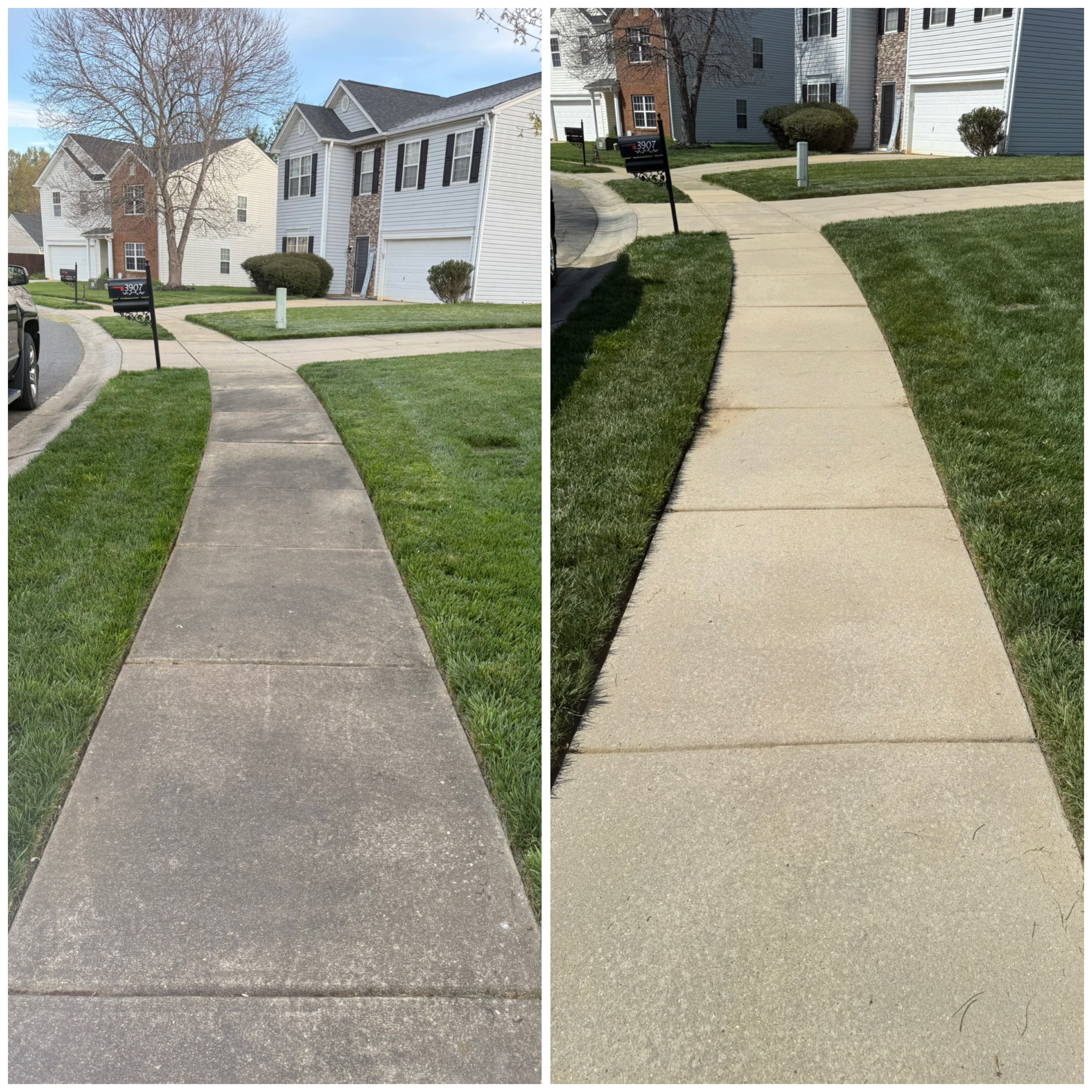 Before and after sidewalk pressure washing Denver NC